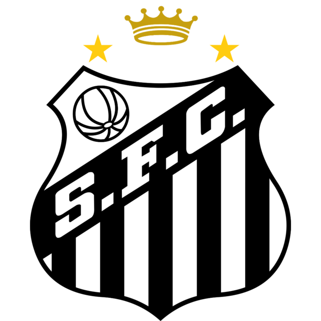 Santos Futebol Clube: Um Ano de Conquistas e Desafios em 2023