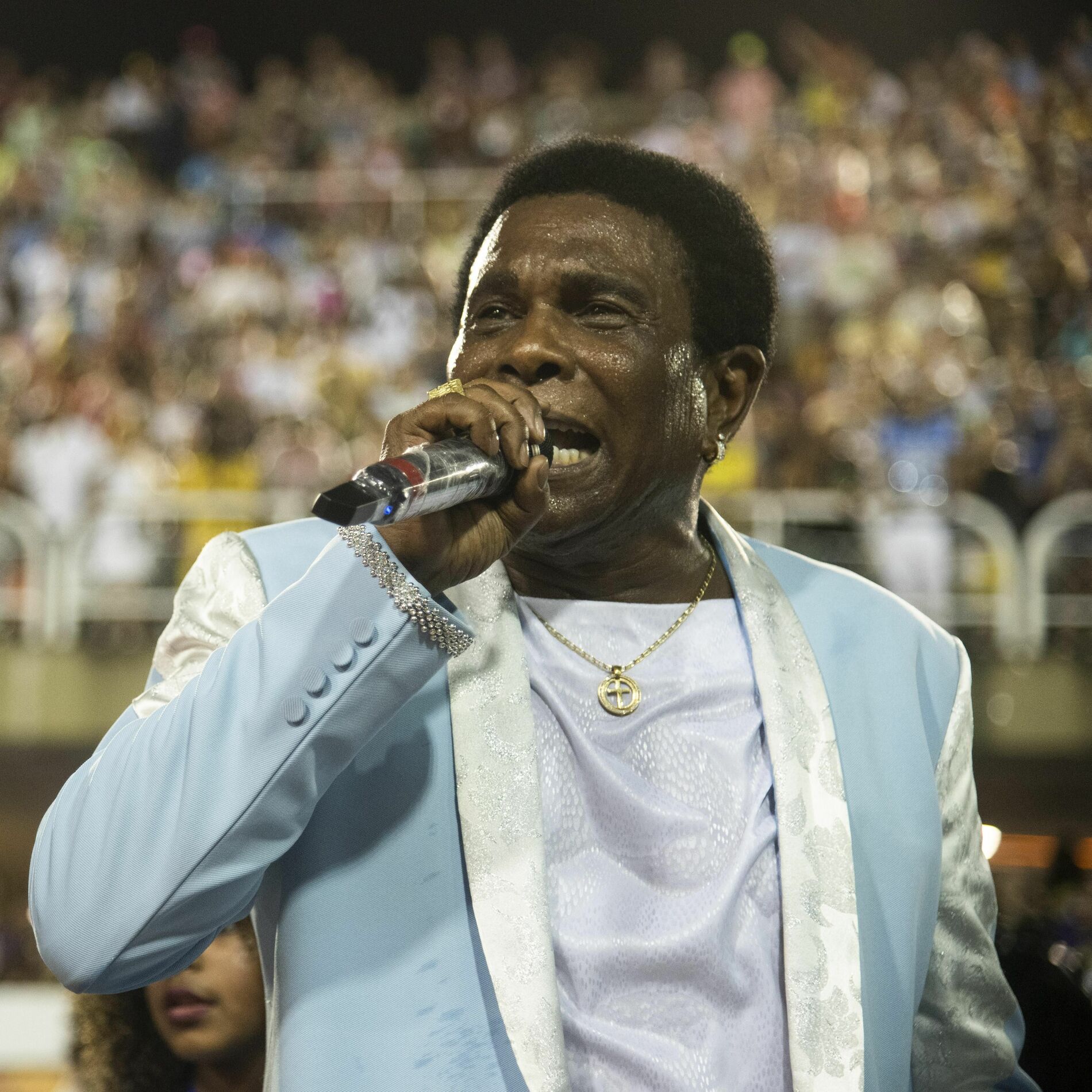 Neguinho da Beija Flor: Um Legado de Samba e Alegria