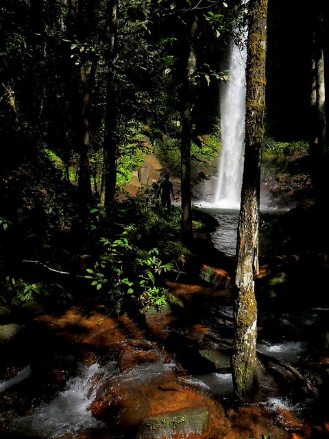 Tocantins: O Que Você Precisa Saber Sobre Este Estado Brasileiro