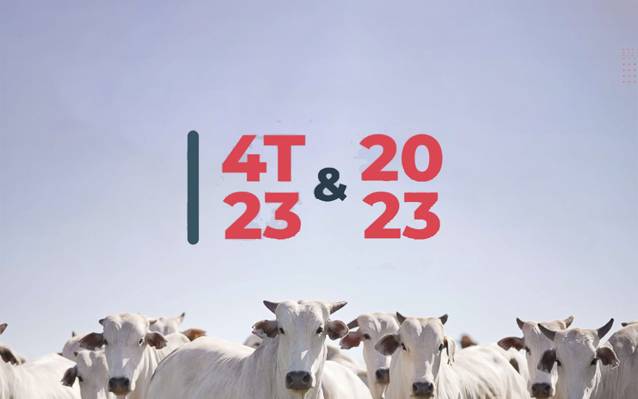 Beef 3: Inovações que Transformam a Pecuária Brasileira