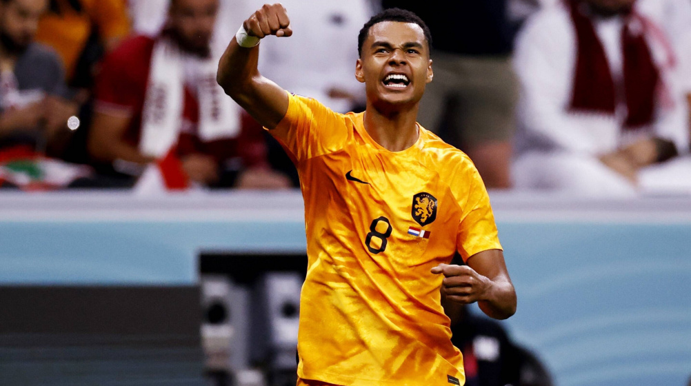 Cody Gakpo: A Nova Sensação do Futebol Global