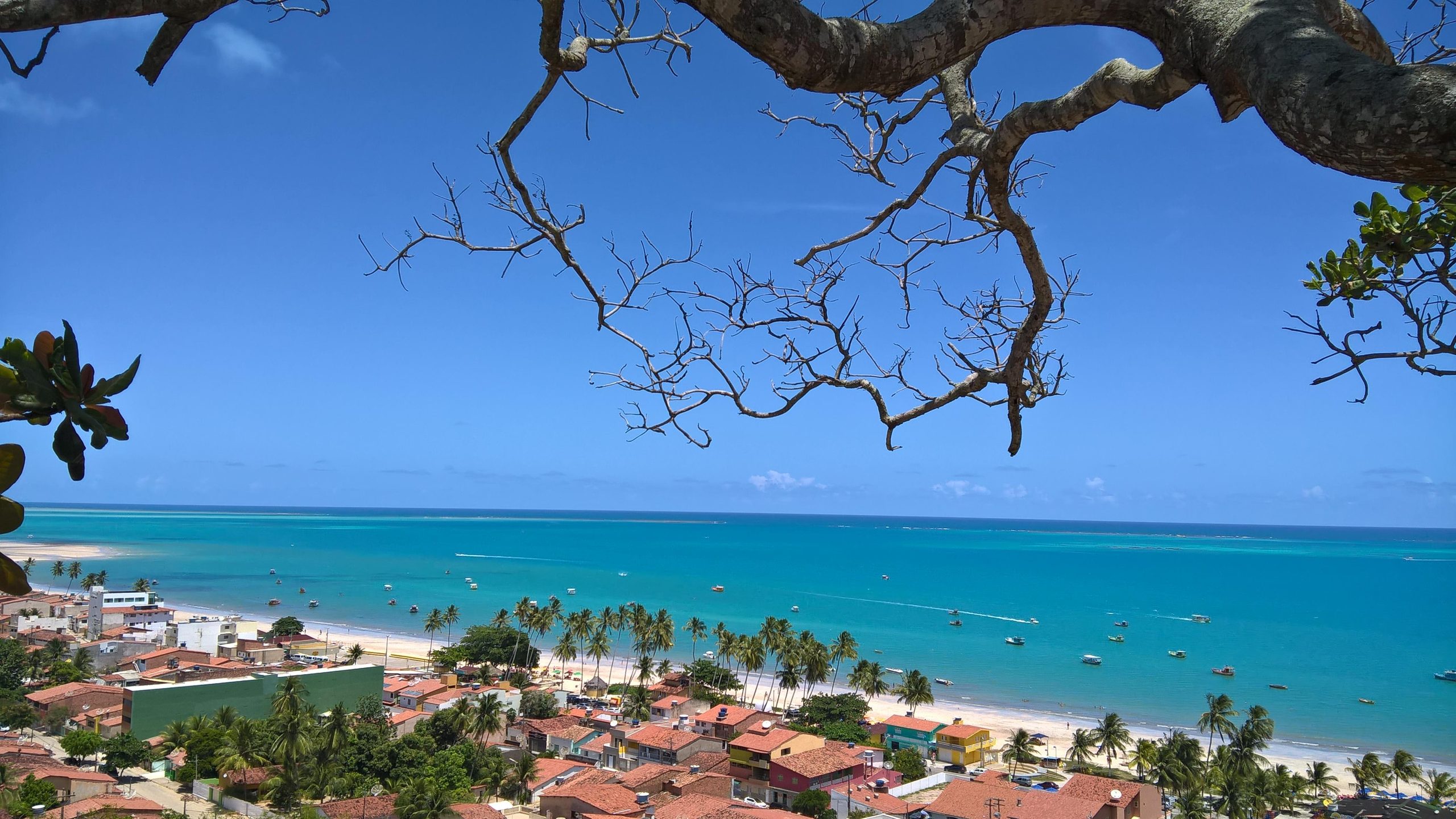 Maragogi: O Paraíso das Praias do Nordeste