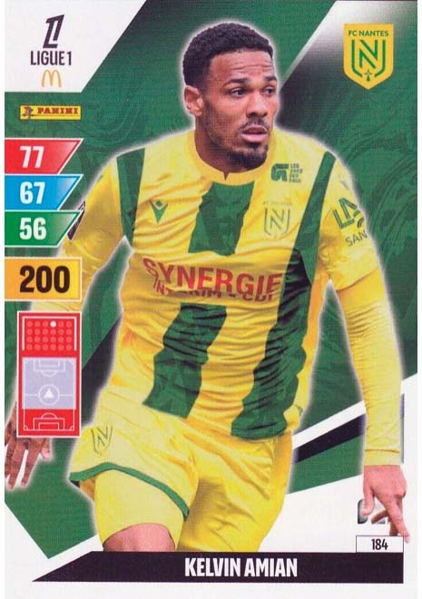 Nantes FC: A trajetória e desafios do clube na Ligue 1