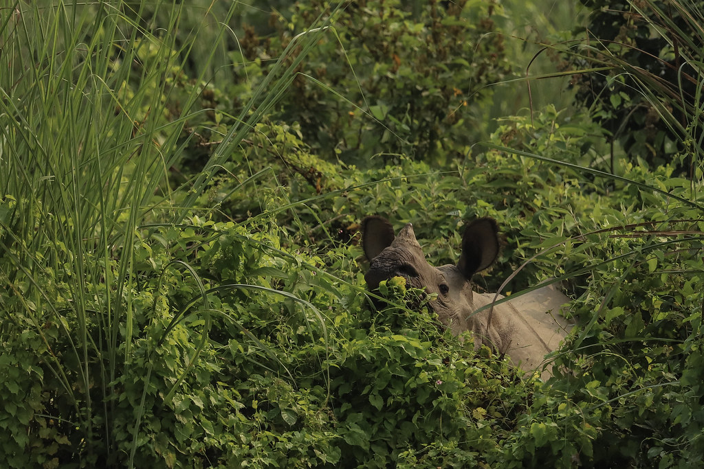 Explorando o Nepal: Cultura Rica e Belezas Naturais