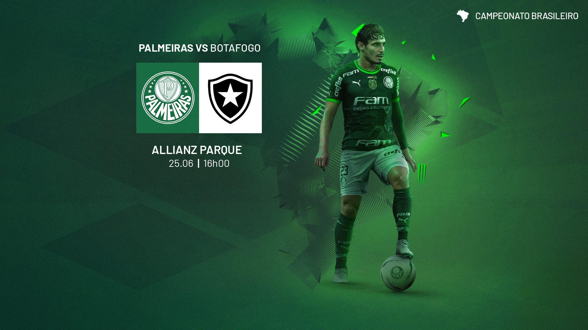 Palmeiras x Botafogo: Um Grande Confronto no Campeonato Brasileiro