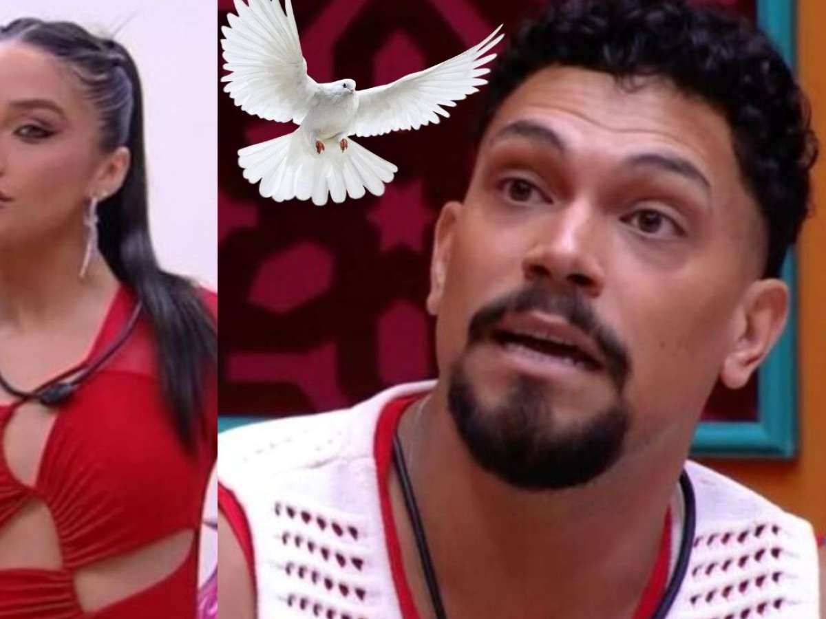Qual o significado de pomba suja?