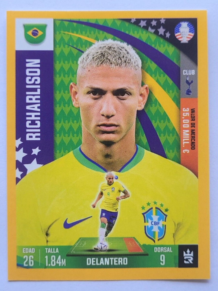 Richarlison: A Estrela do Futebol Brasileiro