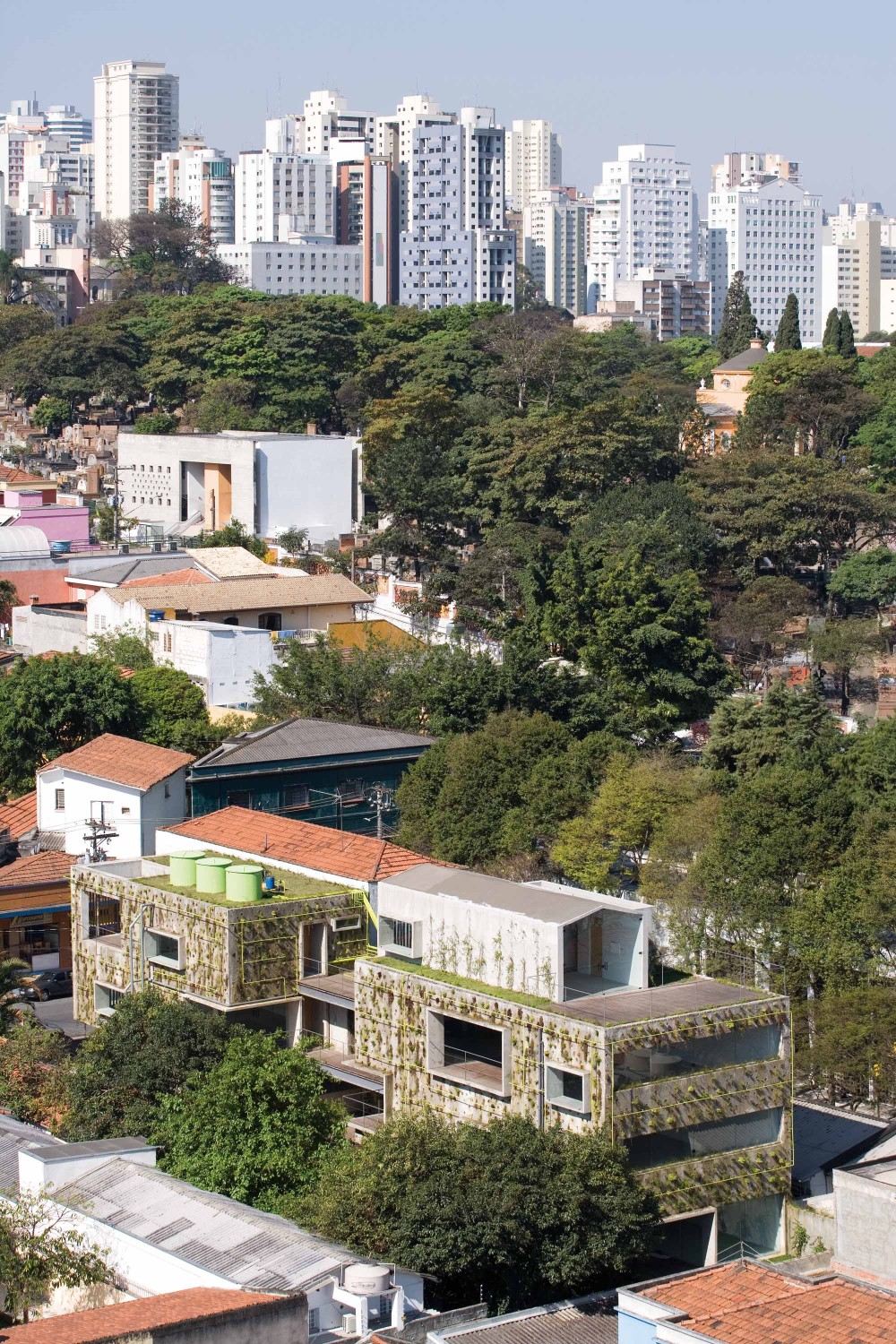 São Paulo: A Vibrante Metropole do Brasil