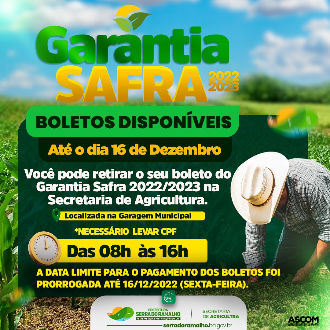 Seguro Safra: Importância e Atualizações para Agricultores