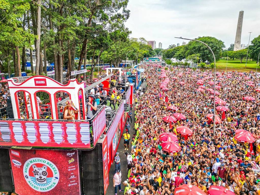 Os Bloquinhos de Carnaval 2025 em São Paulo