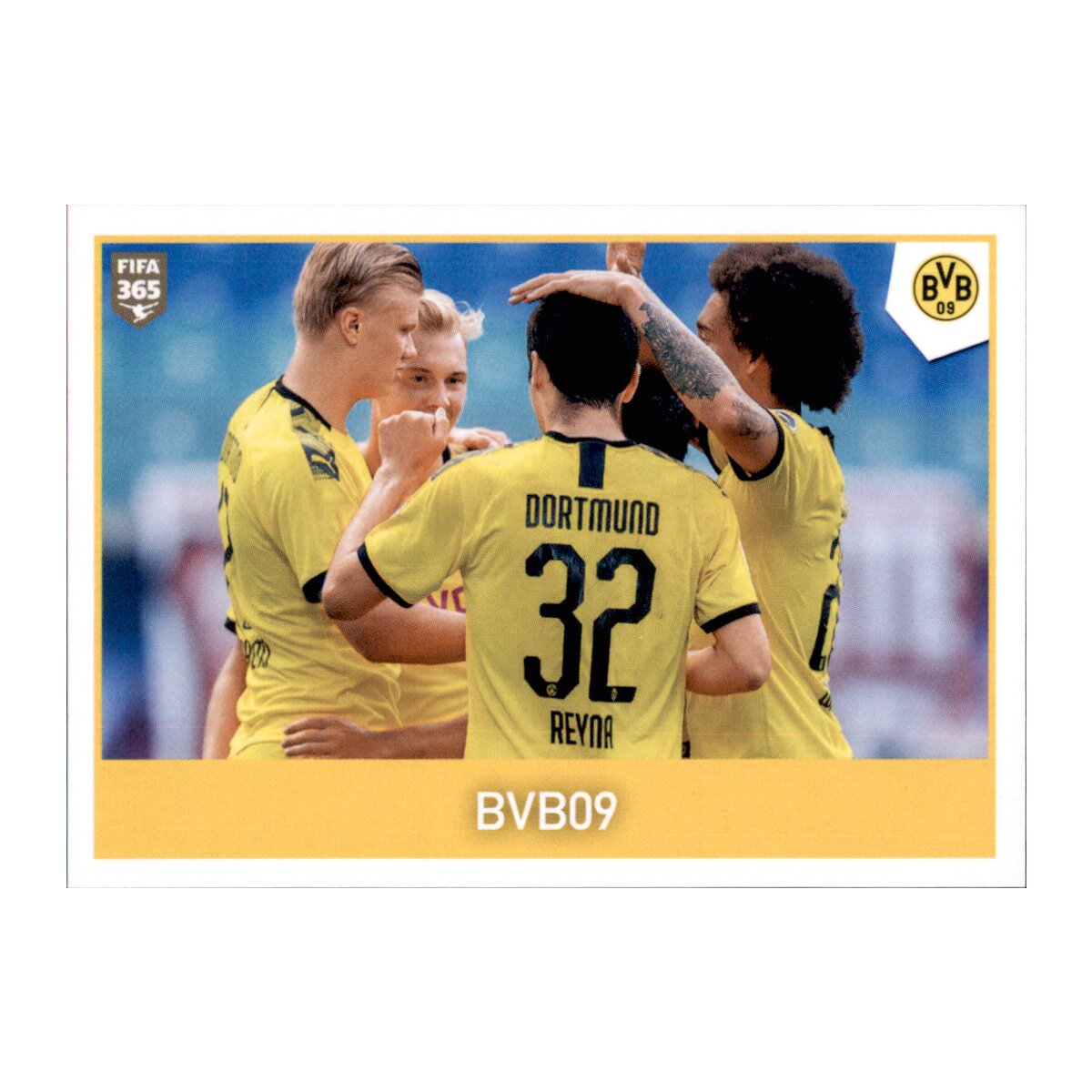 Borussia Dortmund: História, Desafios e Expectativas Futuras