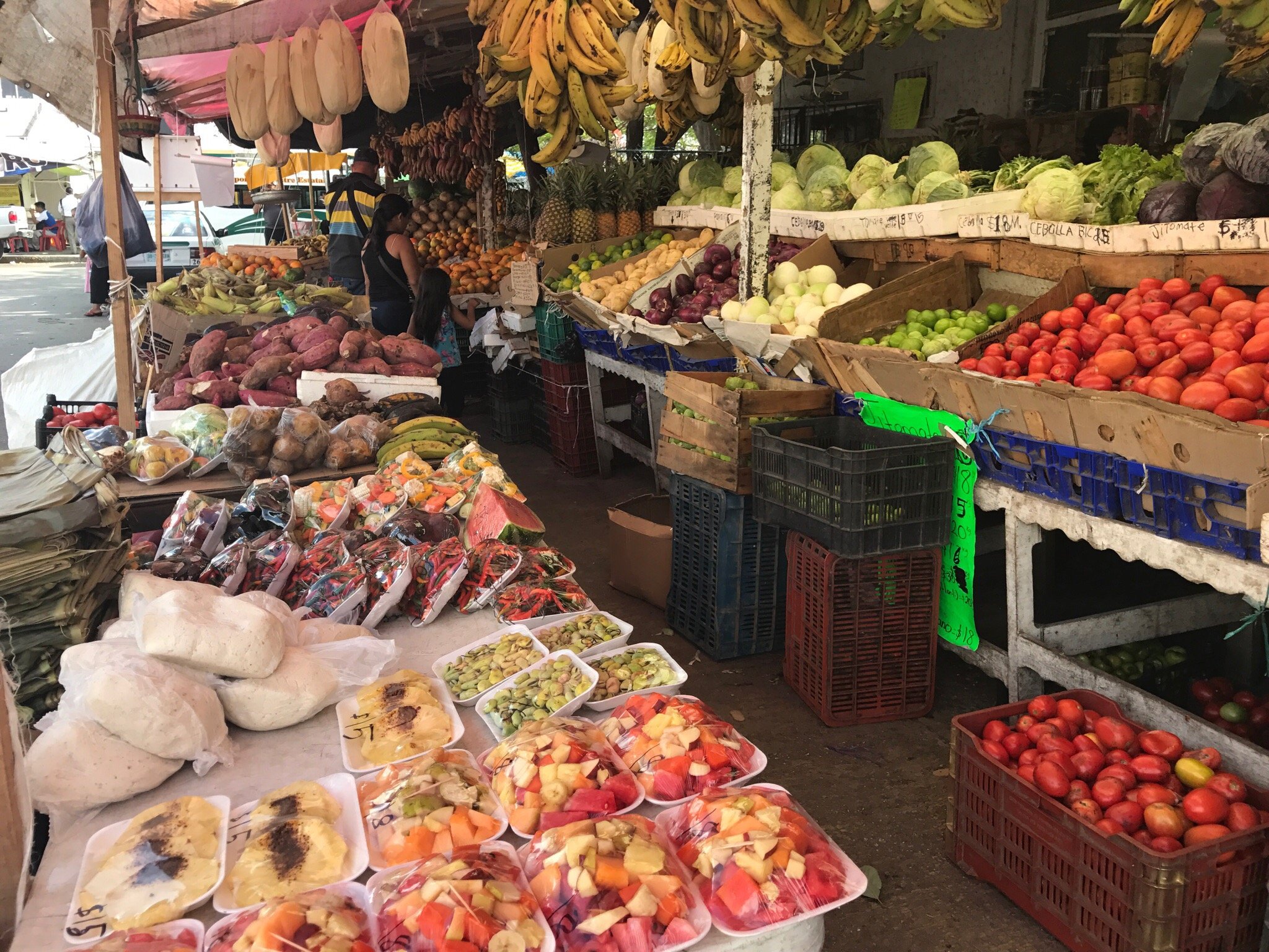 Entendendo o Mercado Brasileiro em 2023