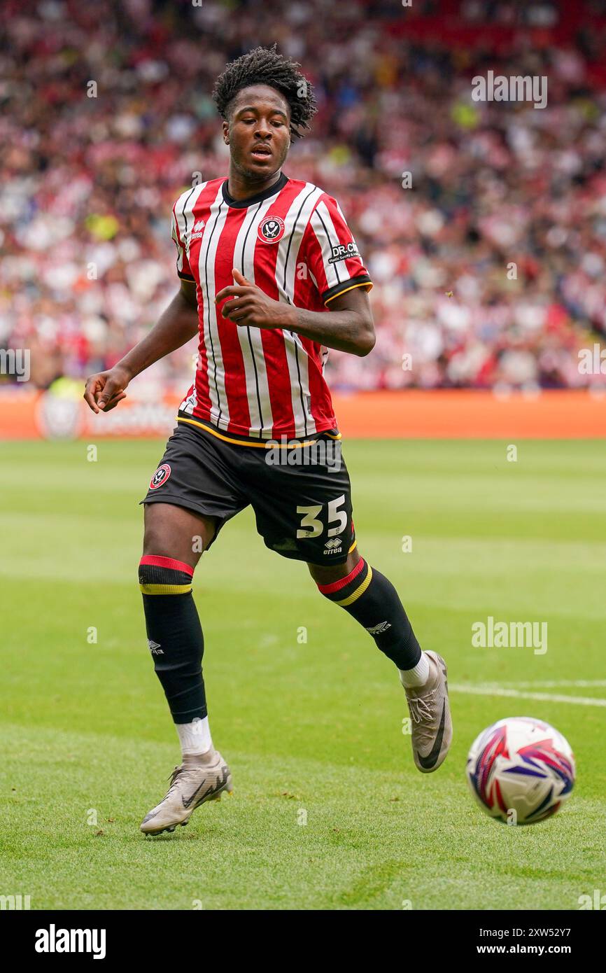 Sheffield United: Um Olhar sobre a Temporada Atual