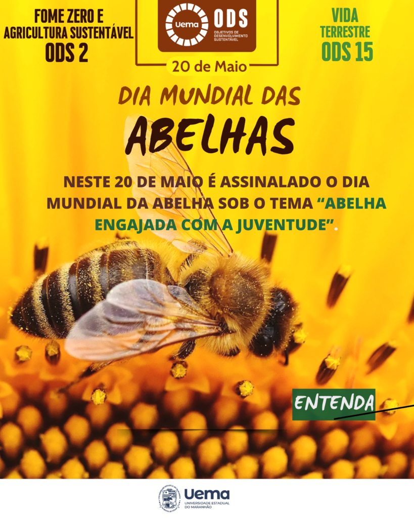 20 de Maio: Um Dia de Reflexão e Comemorações no Brasil