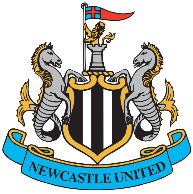 A Trajetória do Newcastle United Football Club