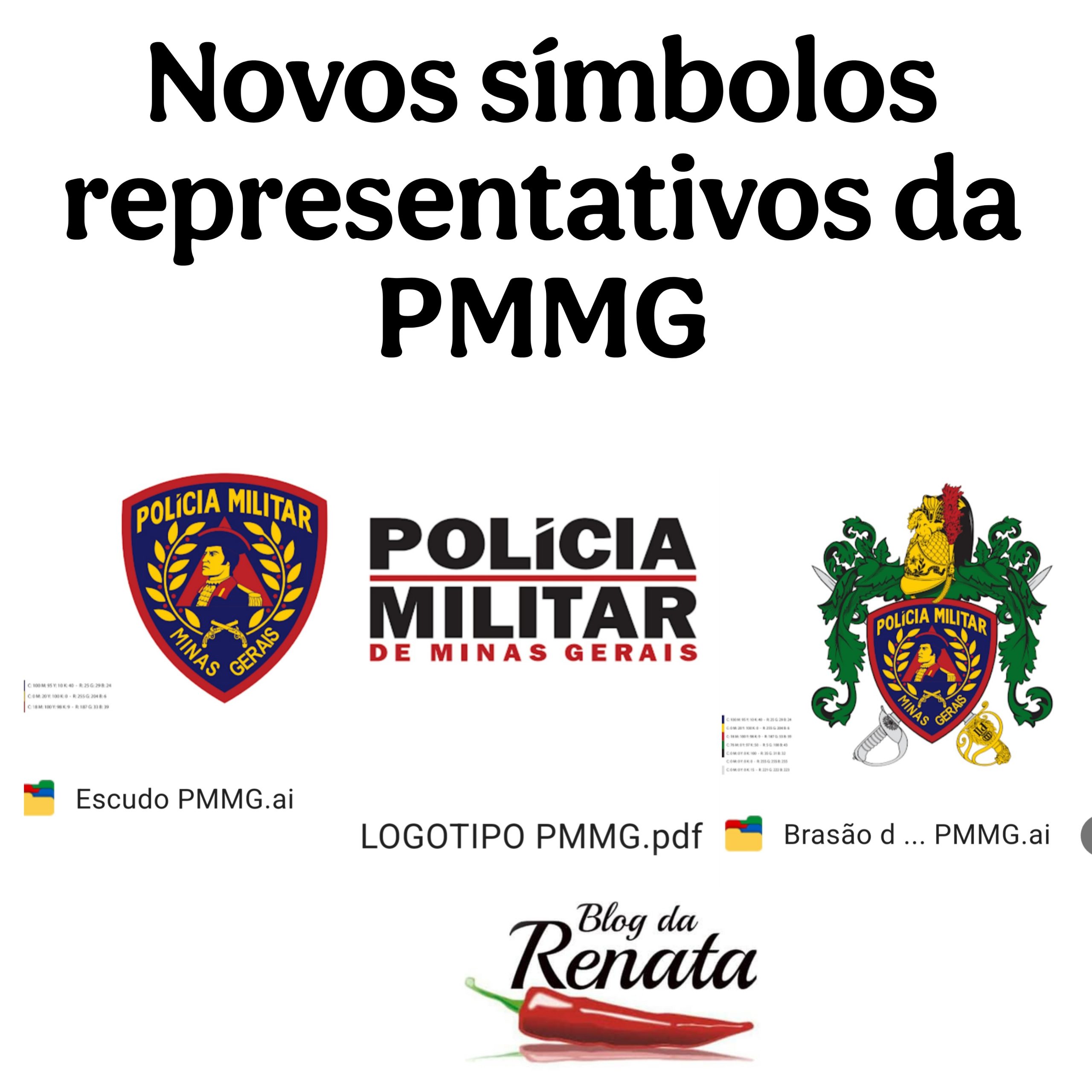 O Papel da PMMG na Segurança Pública de Minas Gerais