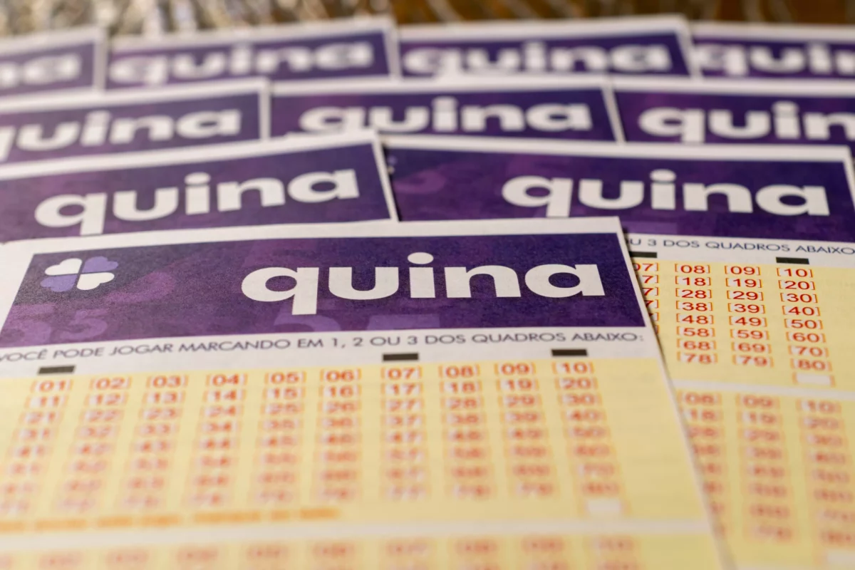 Quina 6738: Resultados e Impacto nas Apostas