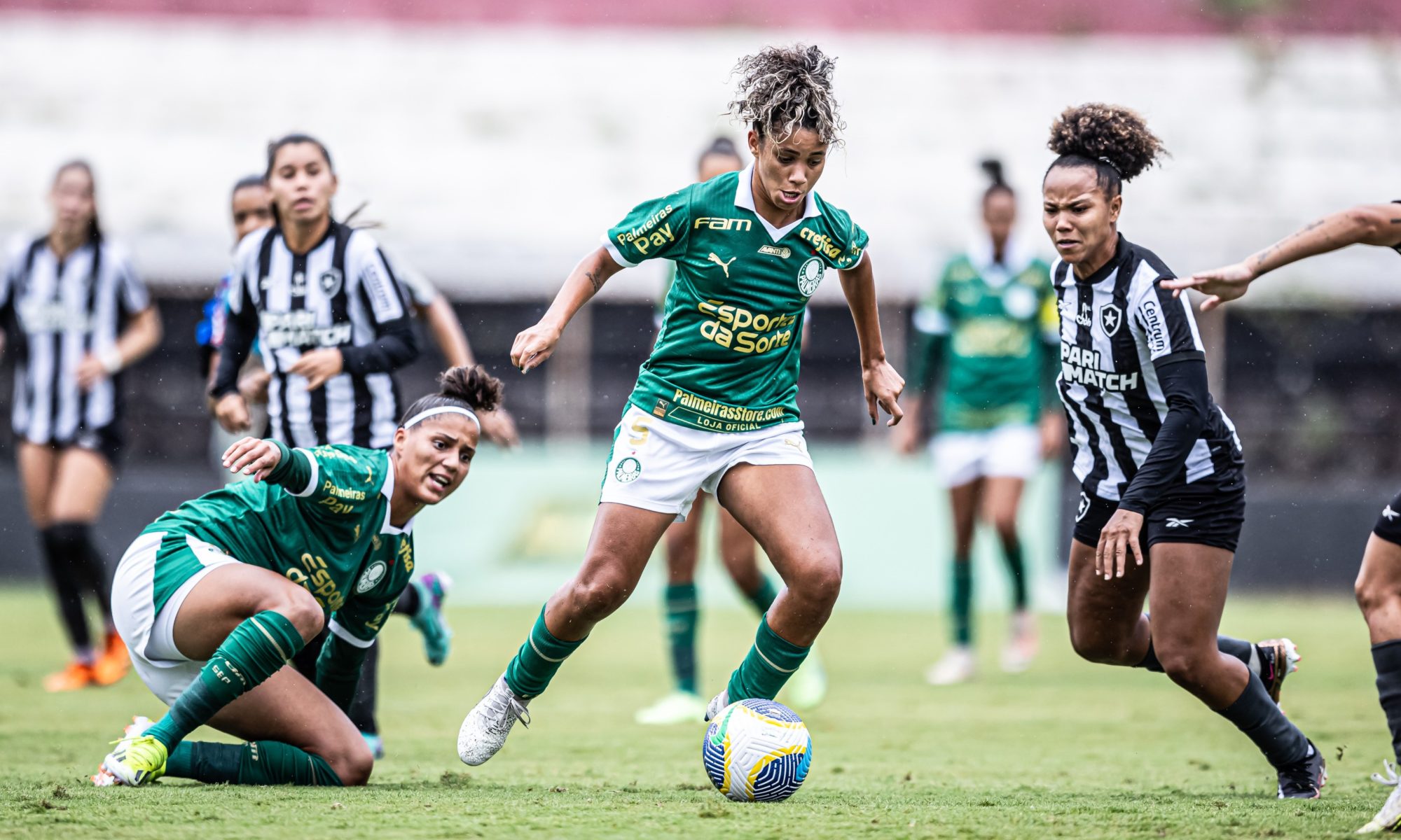 Palmeiras Feminino: A Ascensão e Conquistas da Equipe
