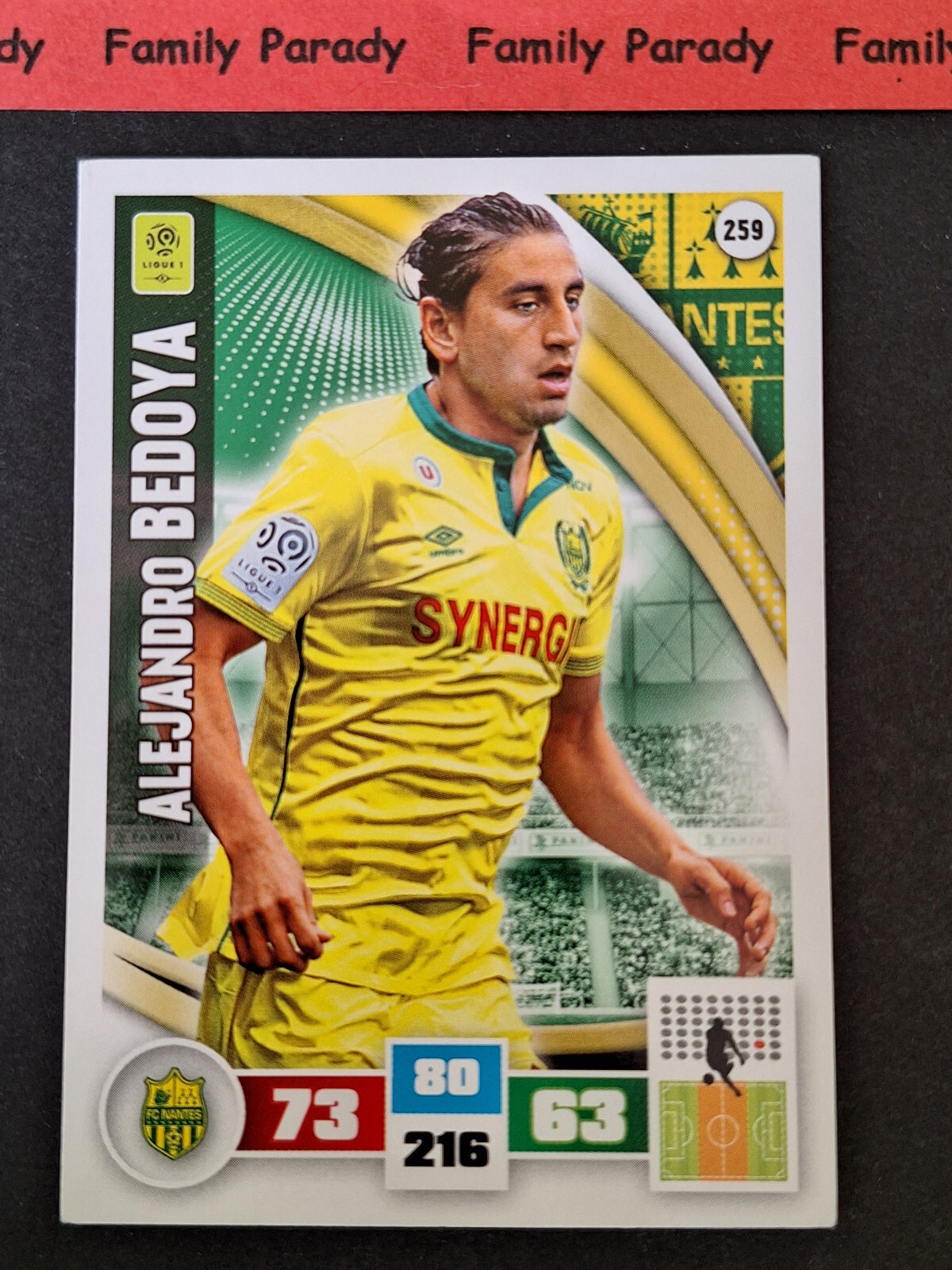 A História e os Desafios Recentes do Nantes FC