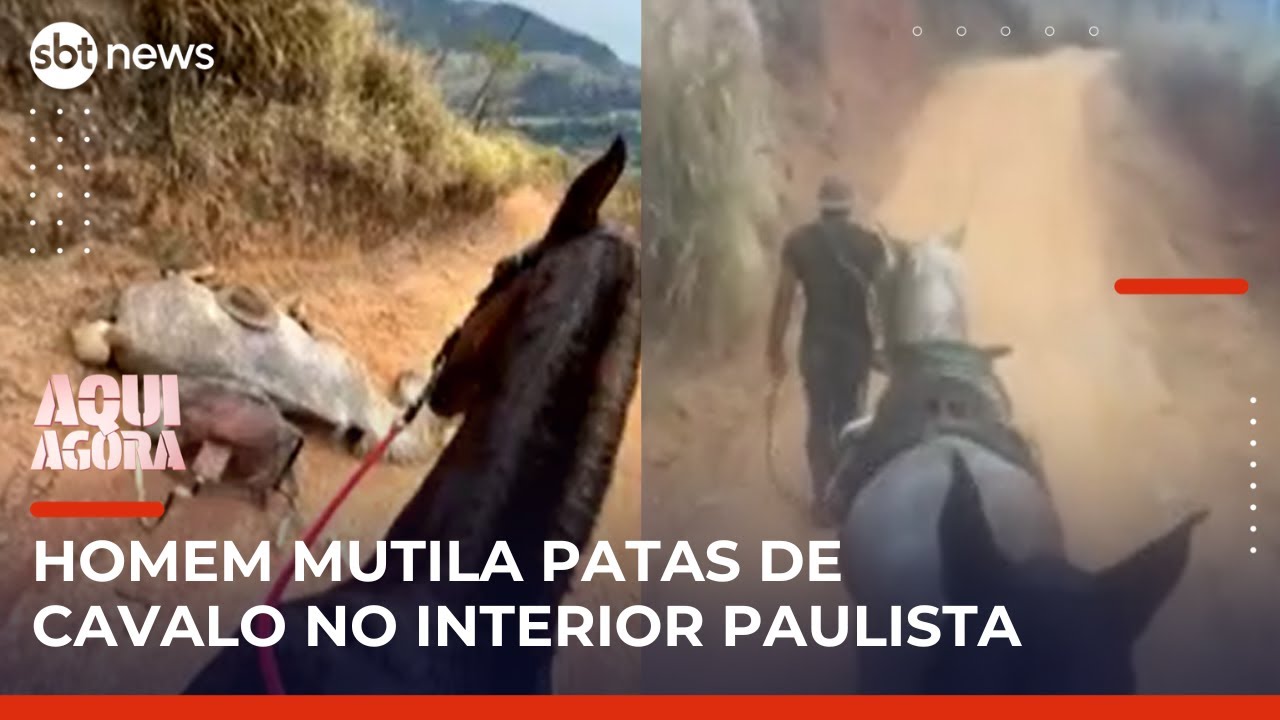 Homem que matou cavalo é morto em novo incidente trágico