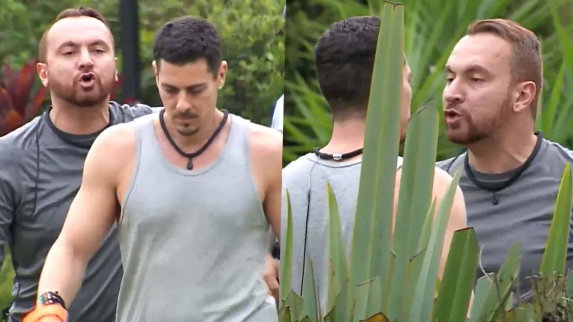 A Fazenda: O Reality Show que Conquista o Brasil em 2023