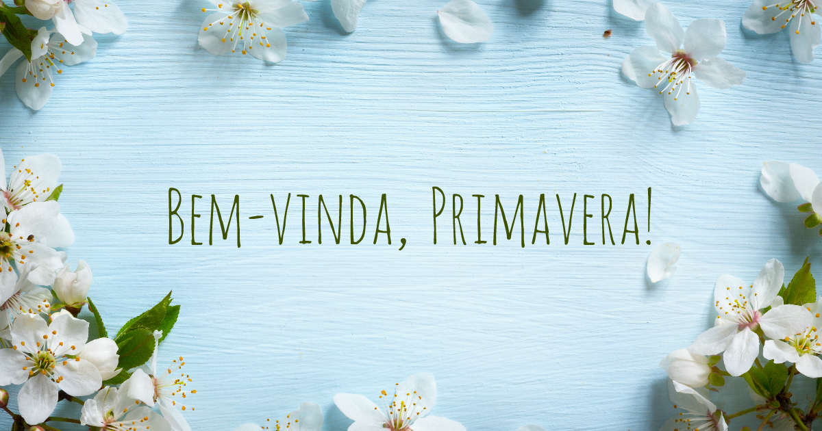 O Início da Primavera 2025 e Suas Expectativas