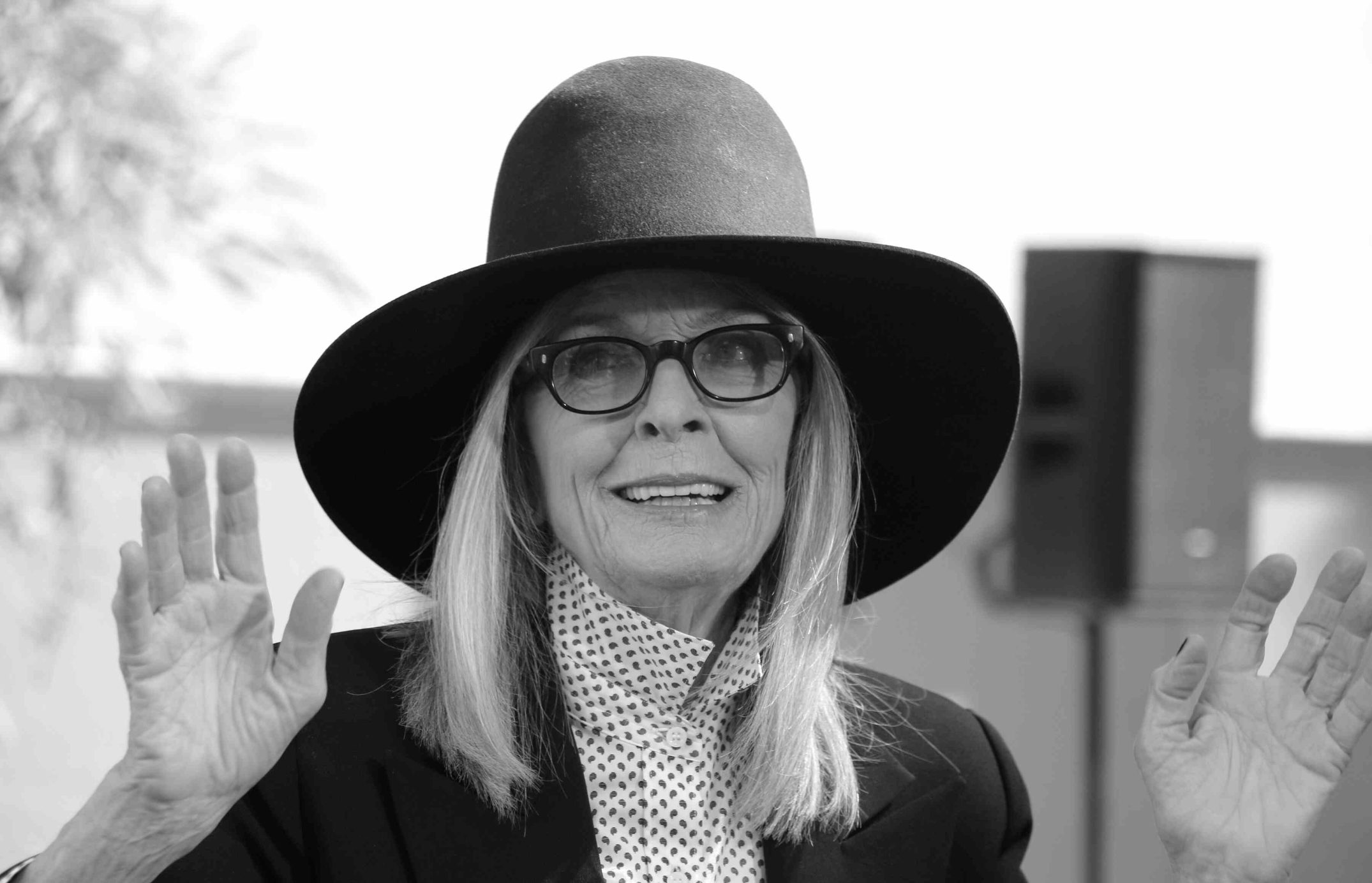 Diane Keaton: A Lenda do Cinema e Suas Contribuições