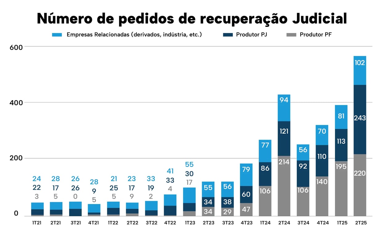 Entendendo os Dividendos da BBAS3: Oportunidades para Investidores