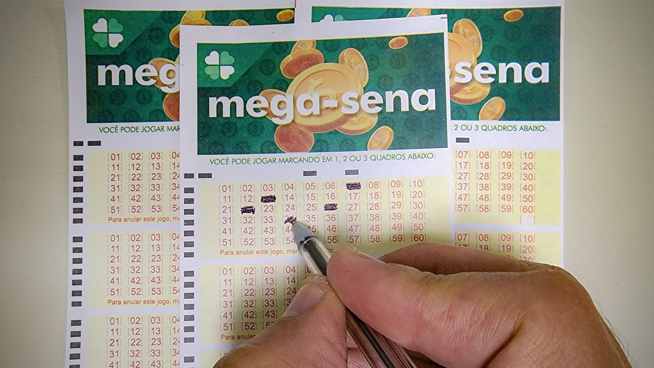 Mega Sena 2931: Resultados e Impacto na Sociedade