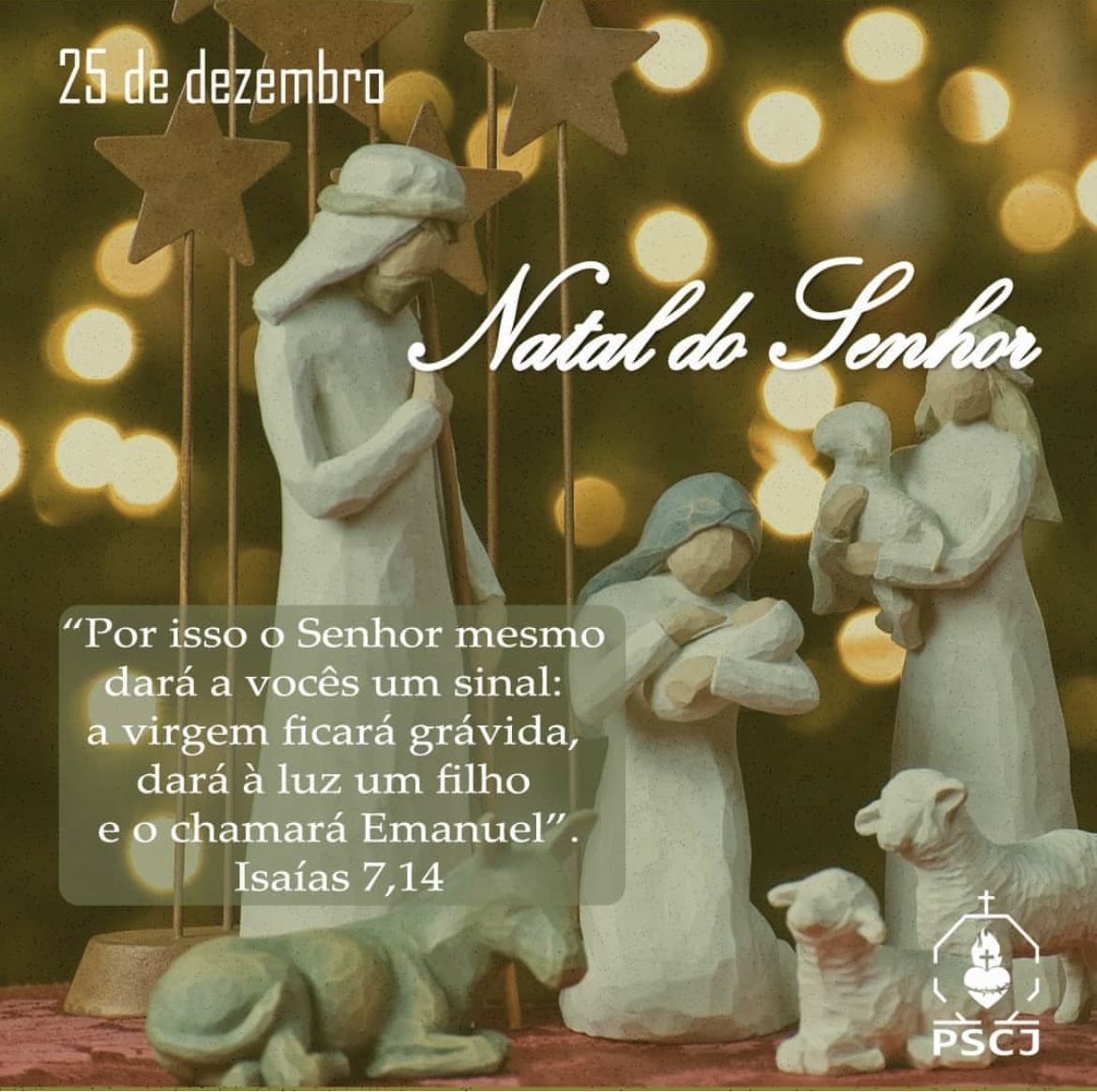 Dia 25 de Dezembro: Como o Brasil Celebra o Natal