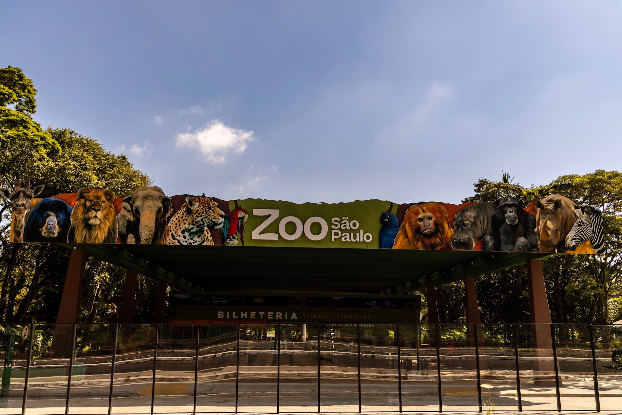 Zoológico de São Paulo Recebe Novos Moradores e Reforça Conservação da Fauna