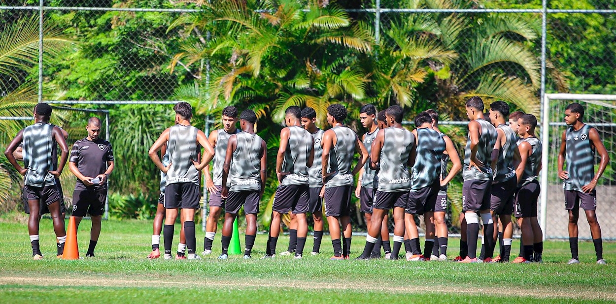 Botafogo de Futebol e Regatas: conquistas, recordes e elenco