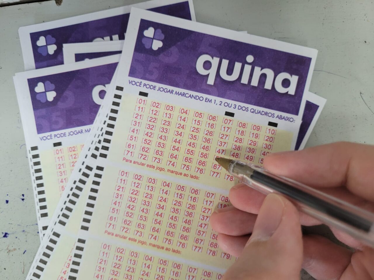 Resultado da Quina concurso 6946: sorteio de 05/02
