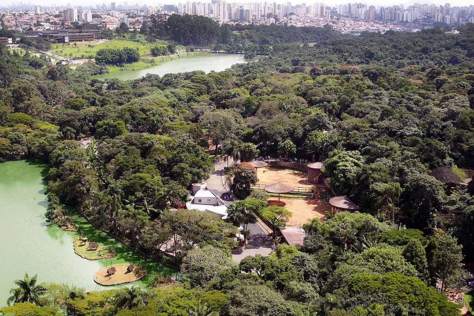 Zoológico de São Paulo: conservação, educação e lazer na cidade