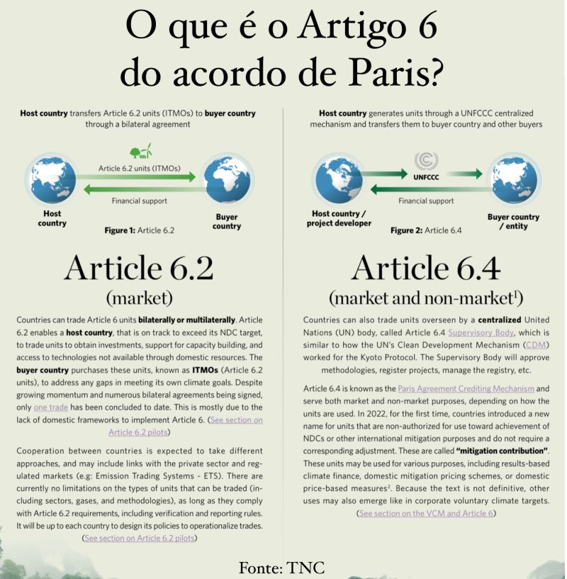 O que é ‘acordou de chico’ e sua repercussão nas redes