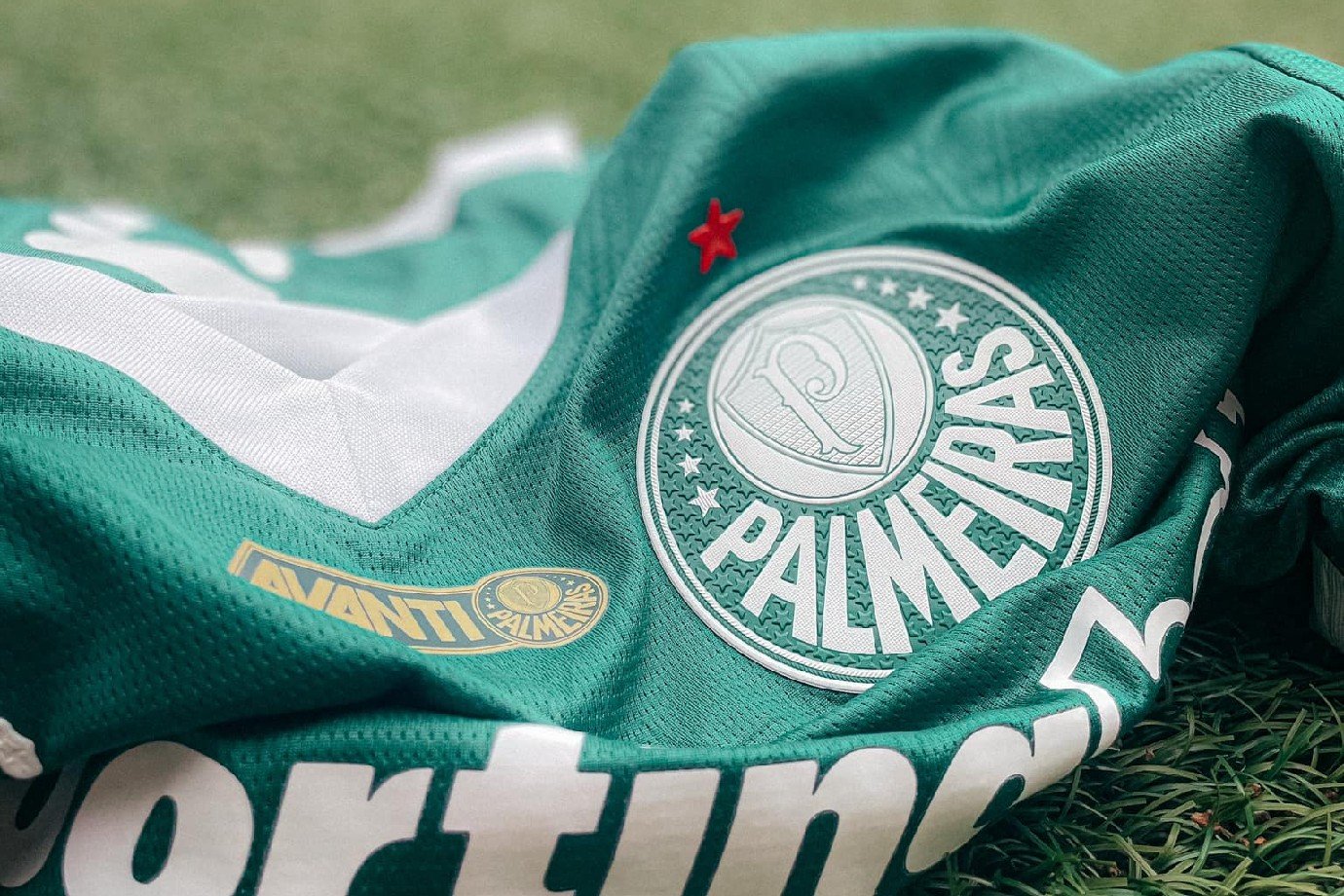 Carmed Palmeiras: o que se sabe e como verificar informações
