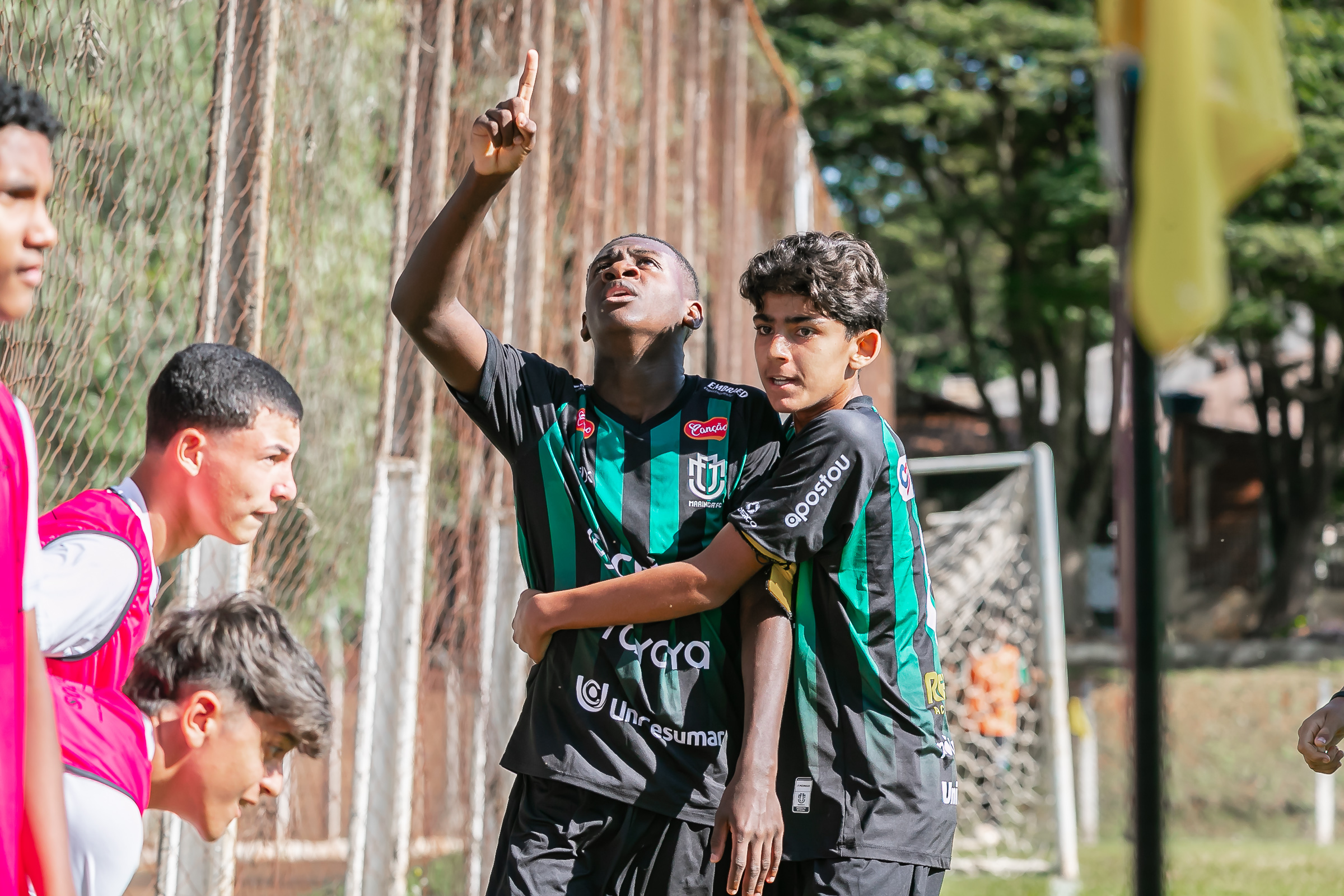 Maringá Futebol Clube x Goiás EC: o que esperar do confronto
