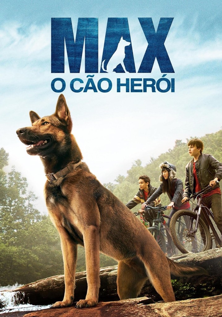 Max, o cão herói: como animais salvadores ganham destaque