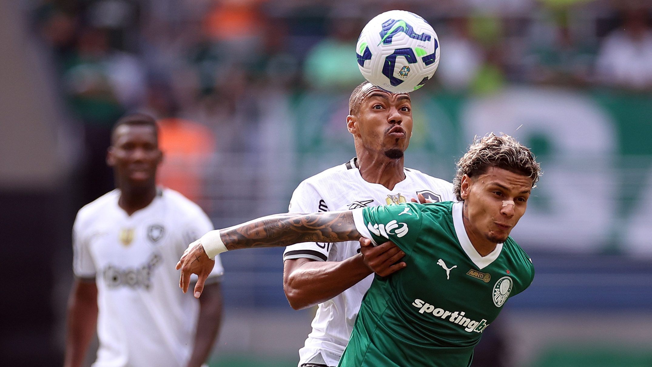 Melhores momentos de Palmeiras-Botafogo: destaques e análise
