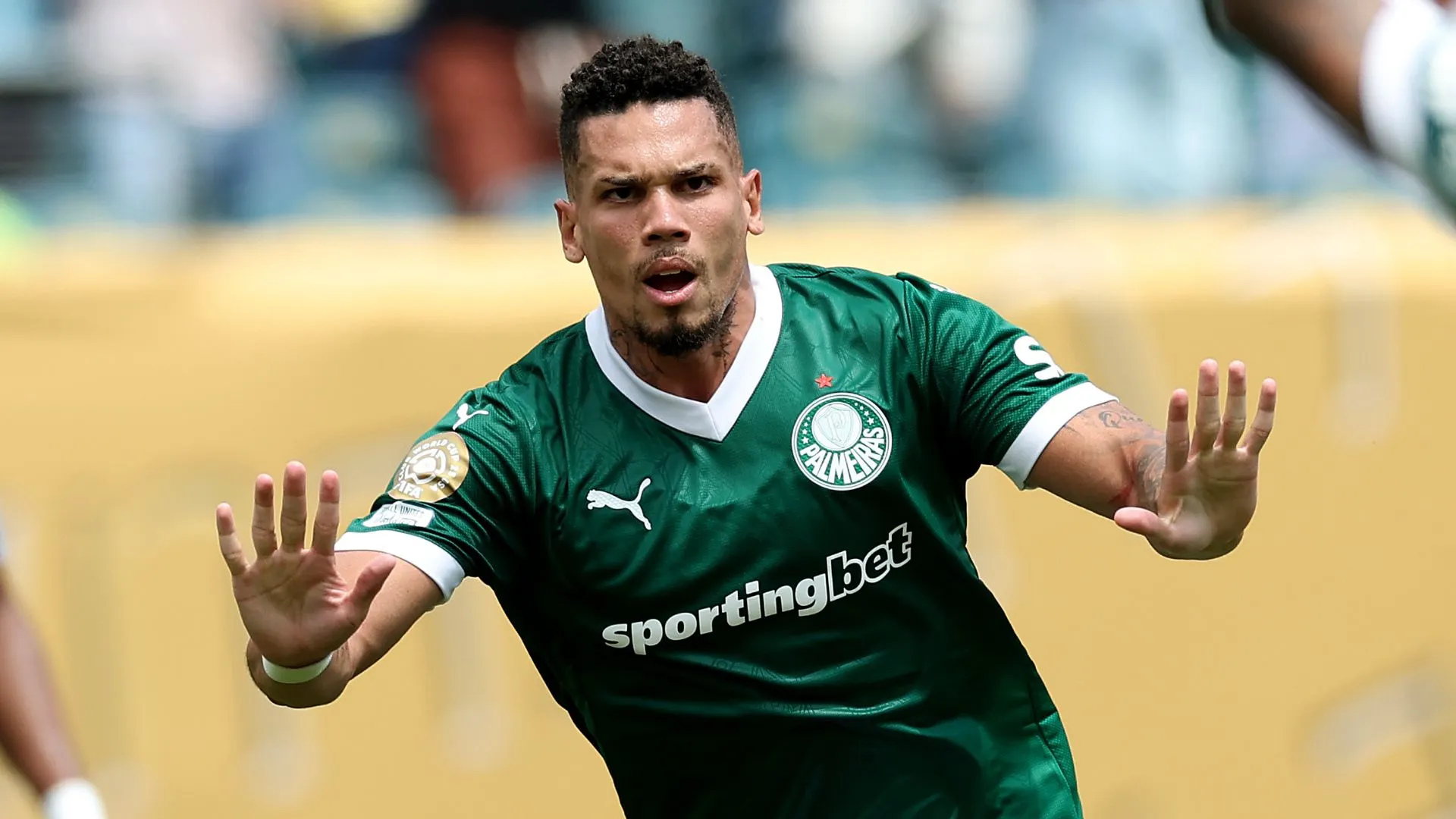 Paulinho no Palmeiras: o que importa para o clube