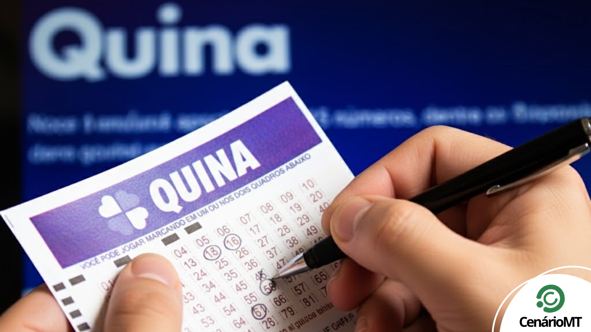 Resultado da Quina 6978: como conferir e o que fazer se ganhar