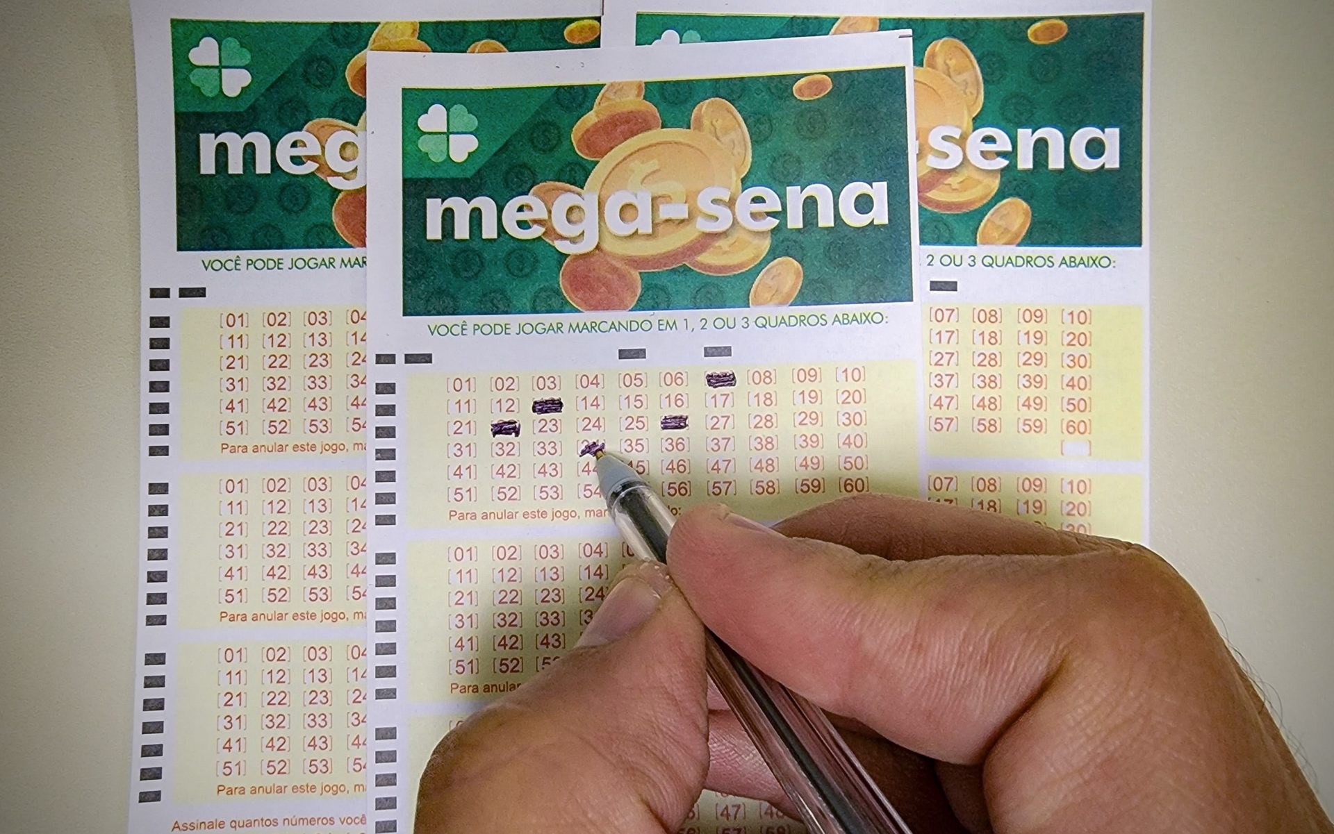 Resultado Mega-Sena 2987: como conferir e orientar-se em caso de prêmio