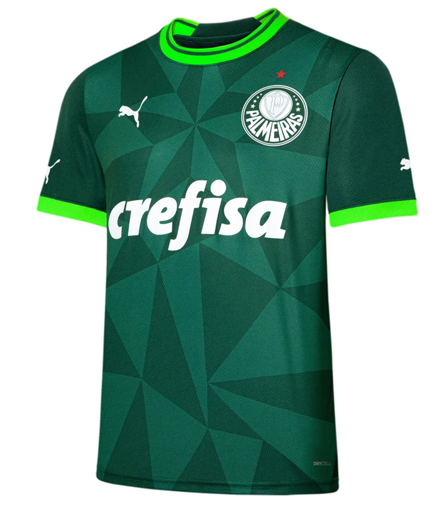 Sociedade Esportiva Palmeiras: história, títulos e relevância